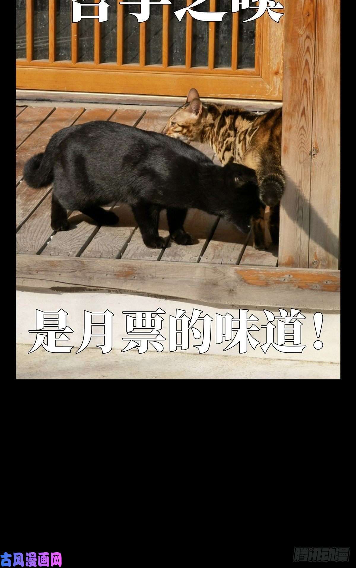 大象无形第一百一十七话灵域中