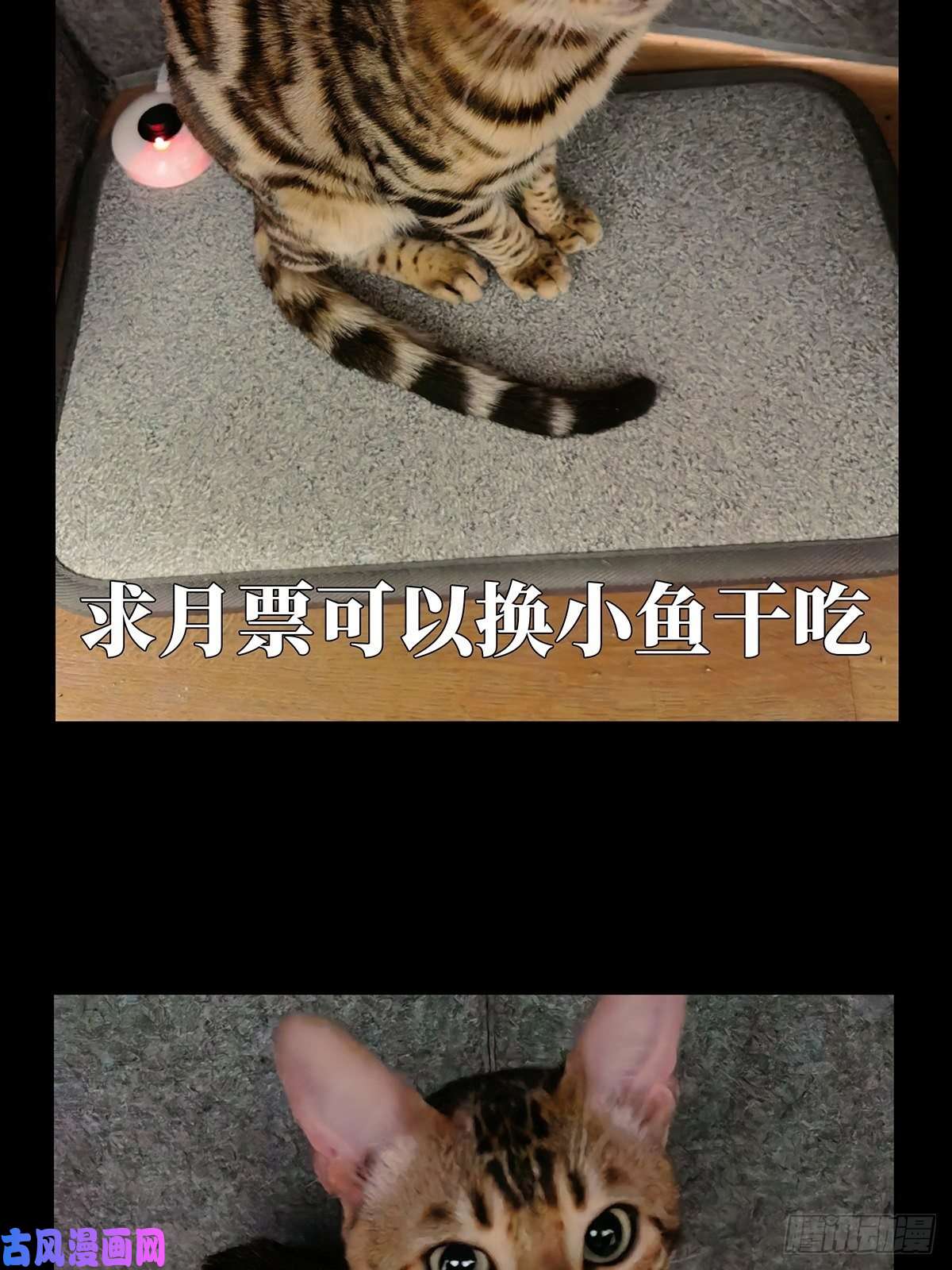 大象无形第一百一十八话灵域下