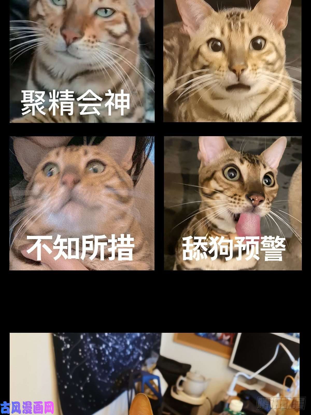 大象无形第一百二十四话解惑下