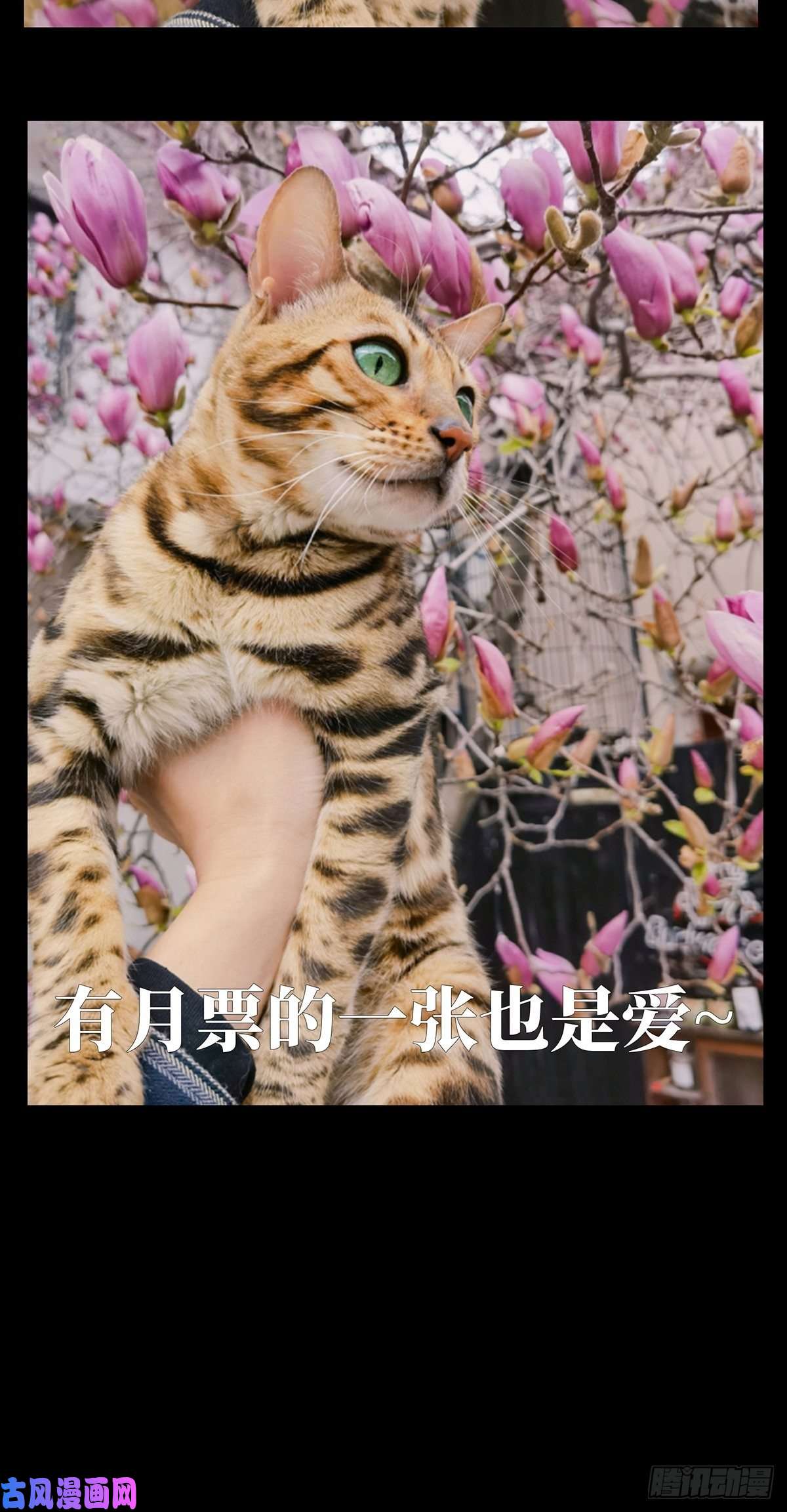 大象无形第一百二十七话情感下