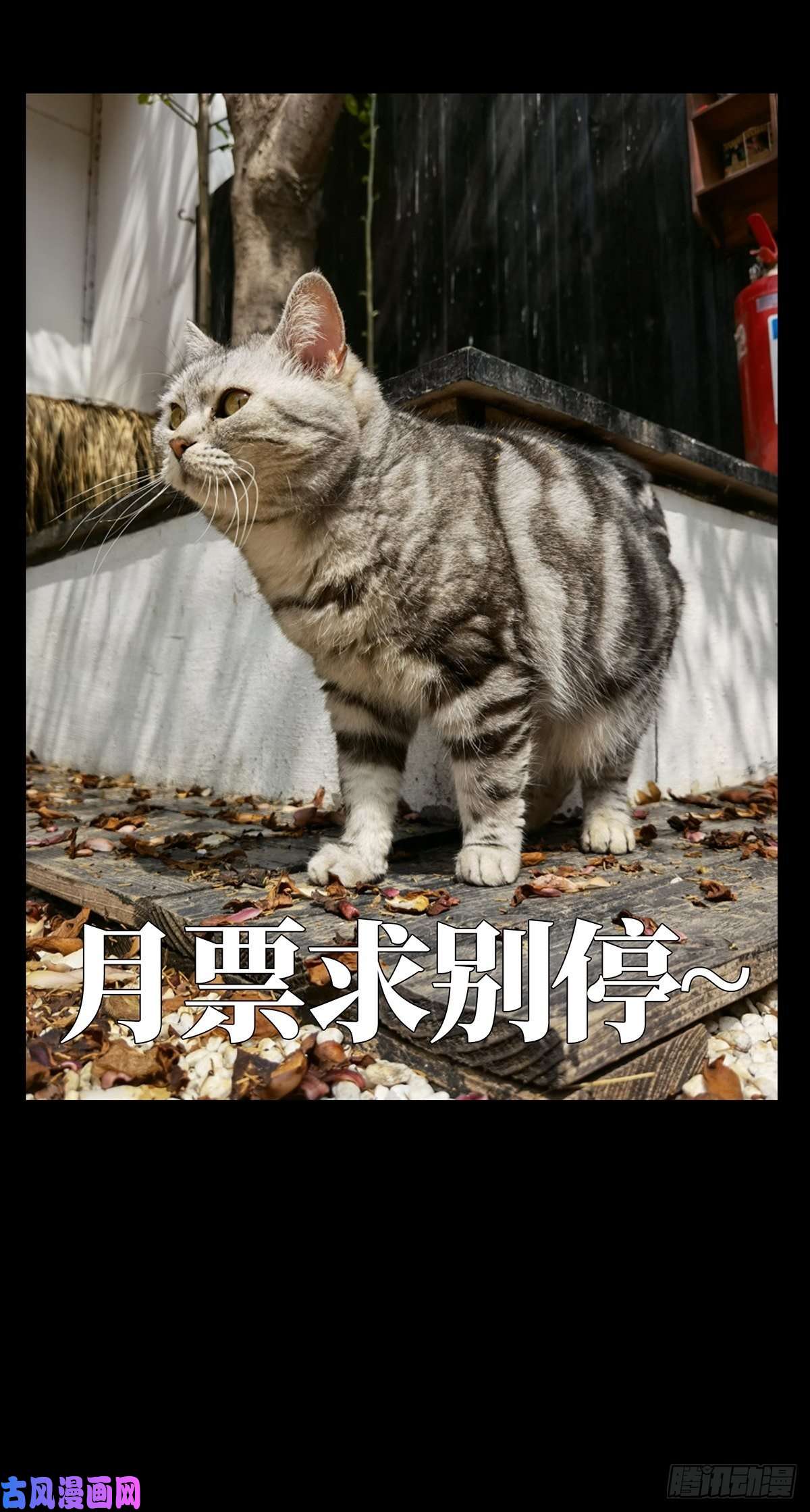大象无形第一百二十八话情愫上