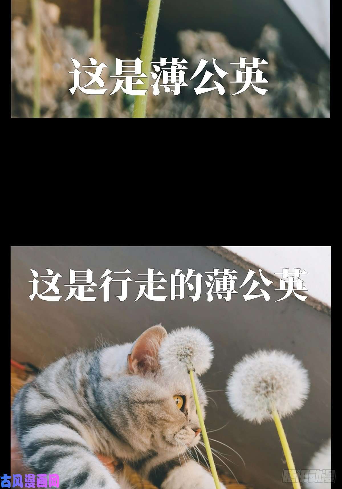 大象无形第一百三十话情愫下