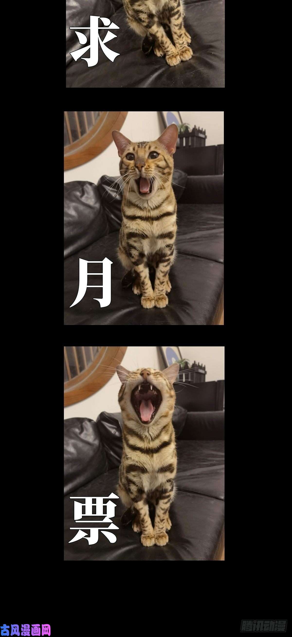 大象无形第一百三十四话任务上