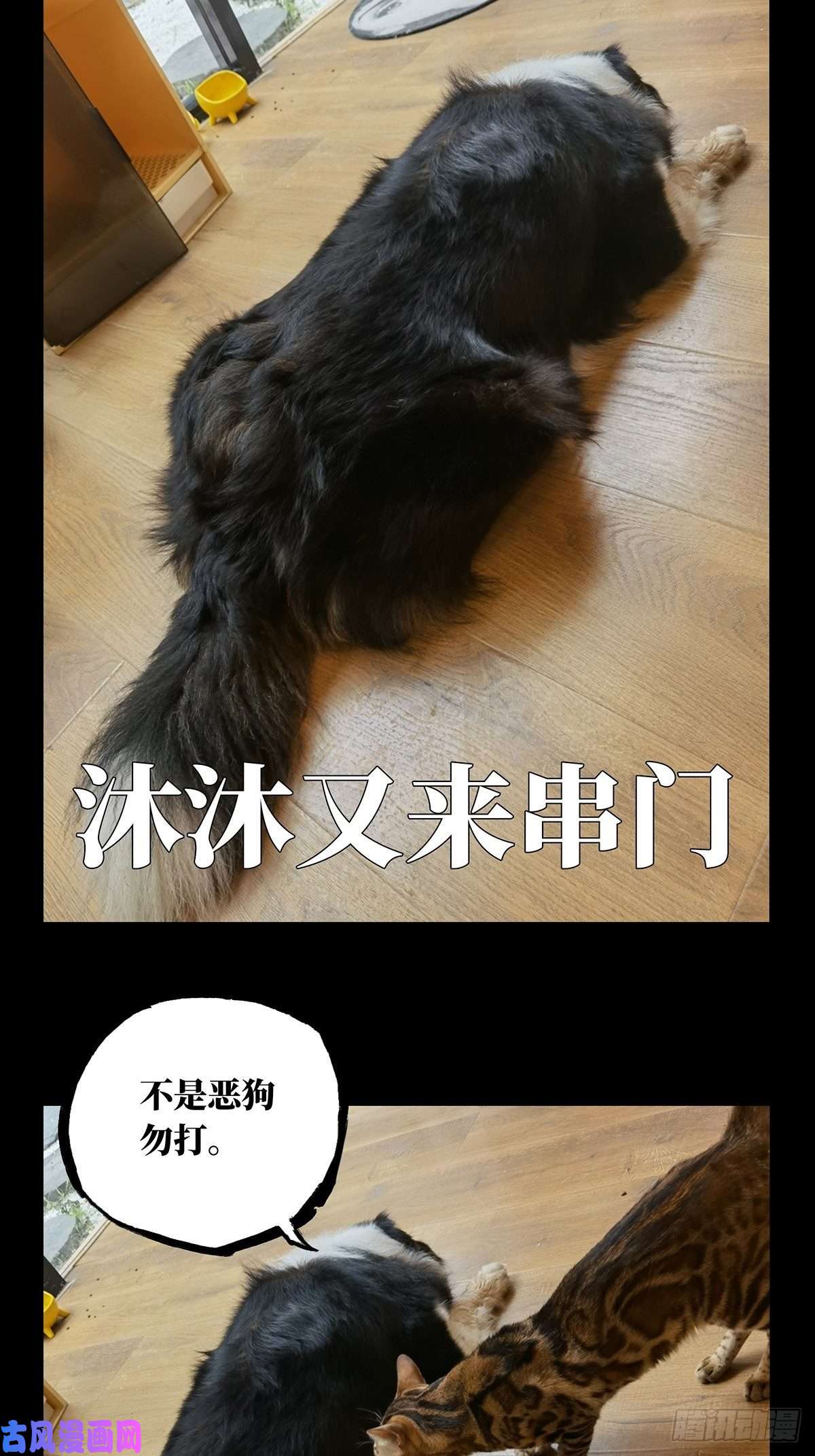 大象无形第一百四十八话能力下