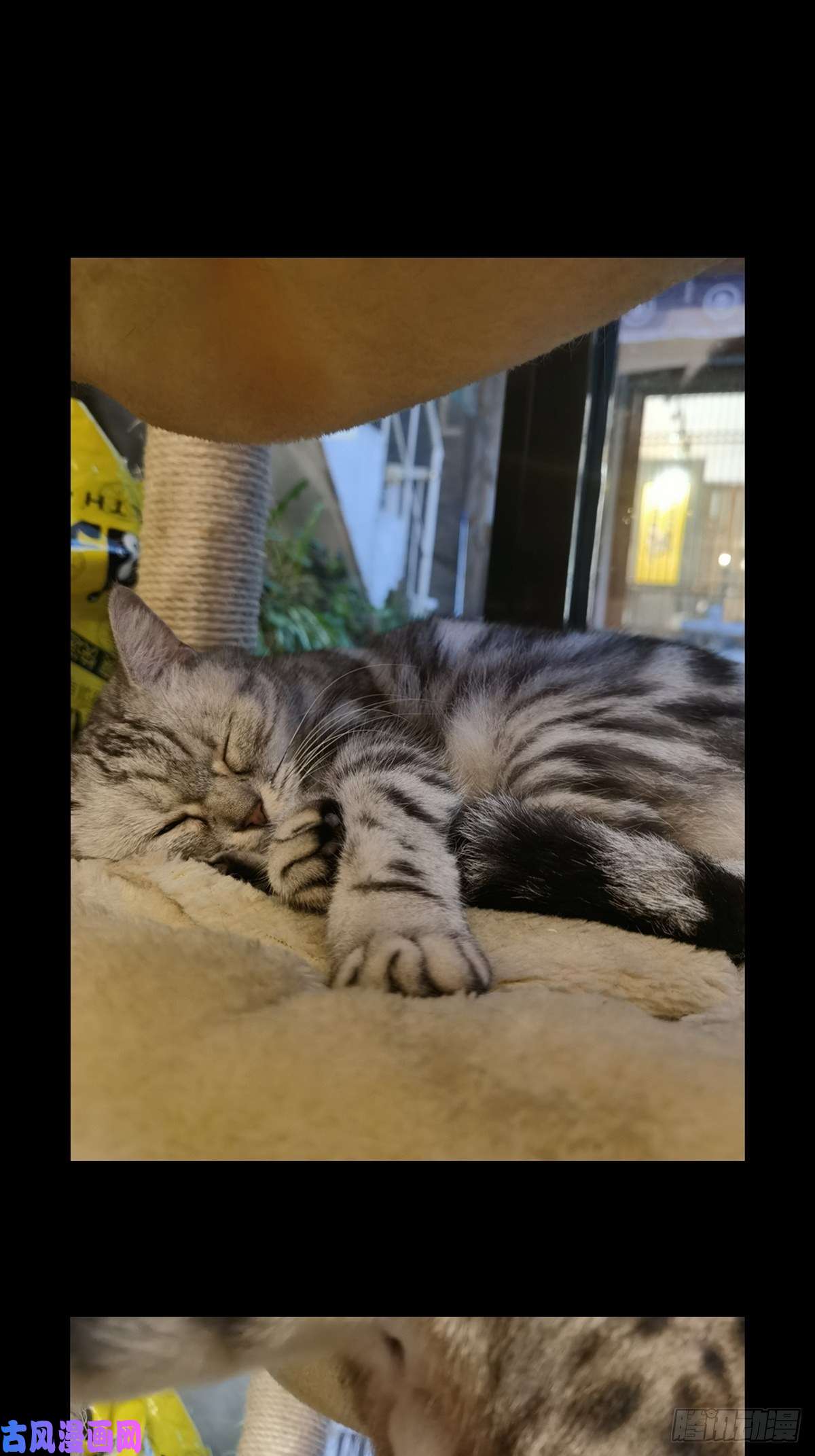 大象无形第一百六十三话会议下