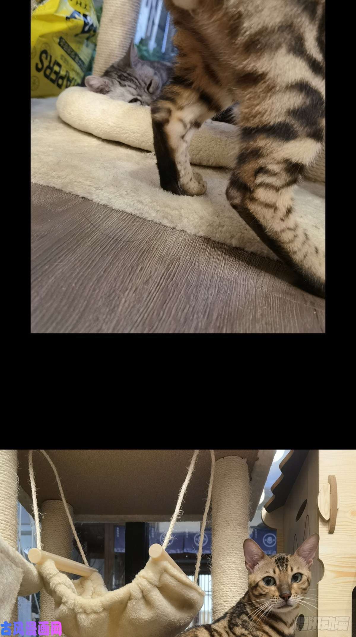 大象无形第一百六十三话会议下