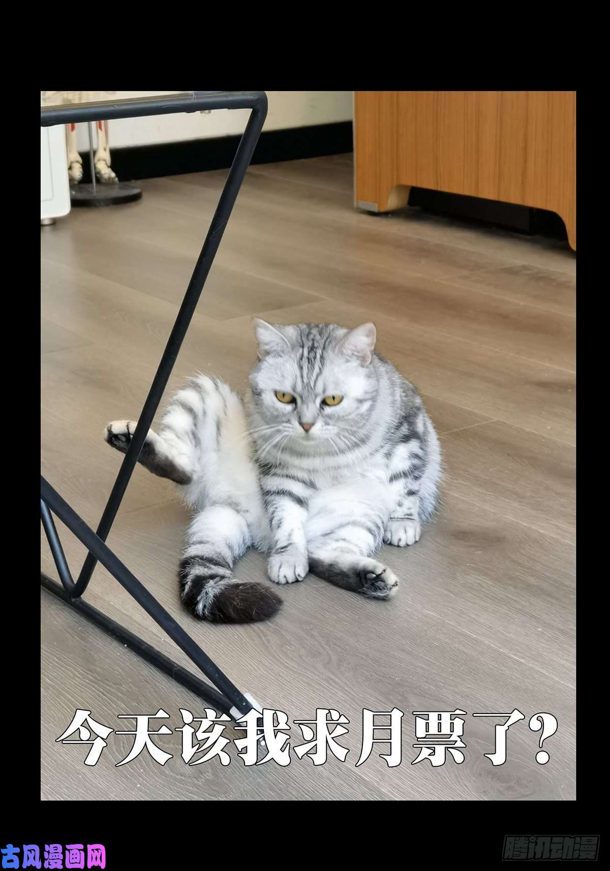 大象无形第一百六十五话牙牙中