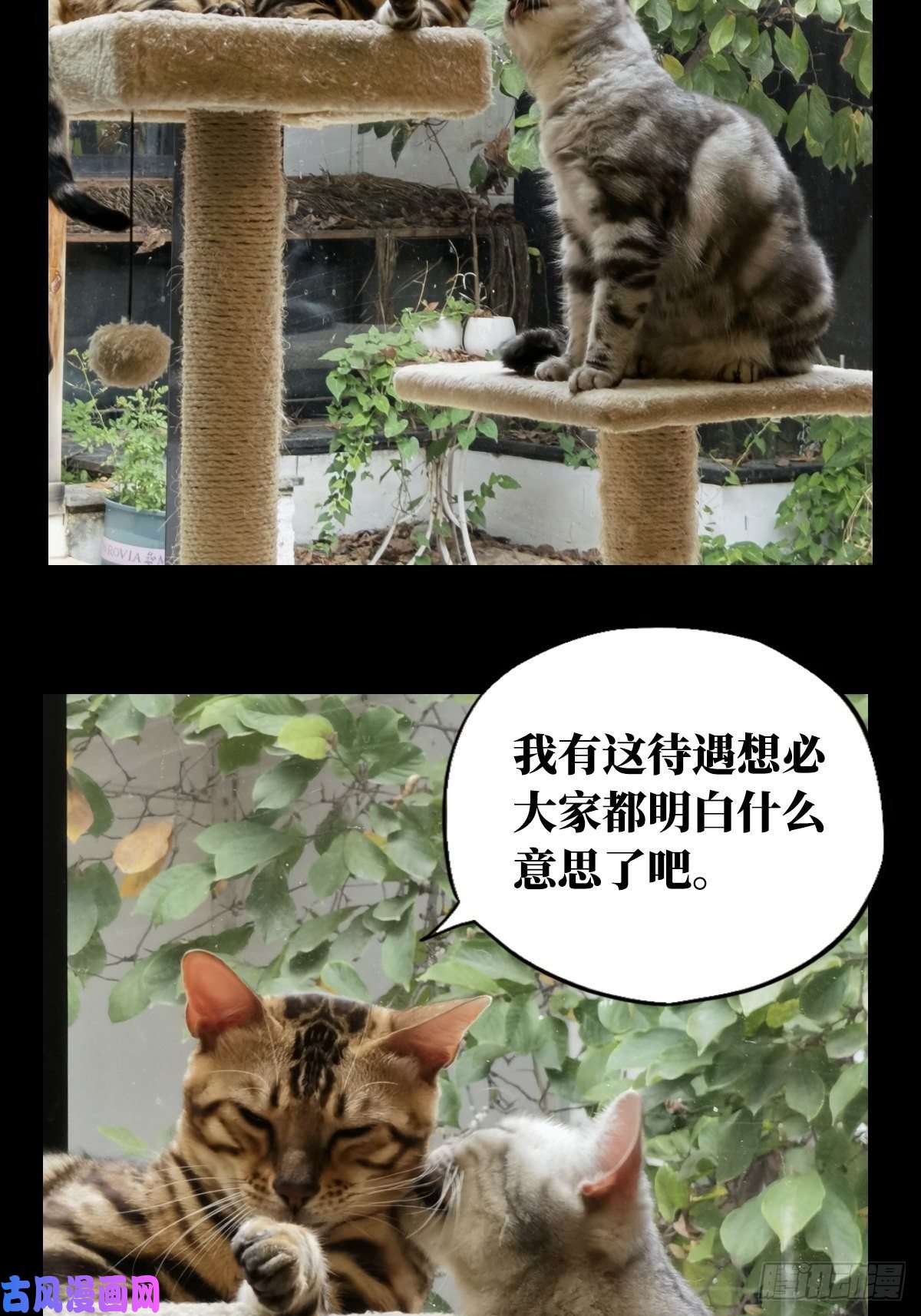 大象无形第一百六十六话牙牙下
