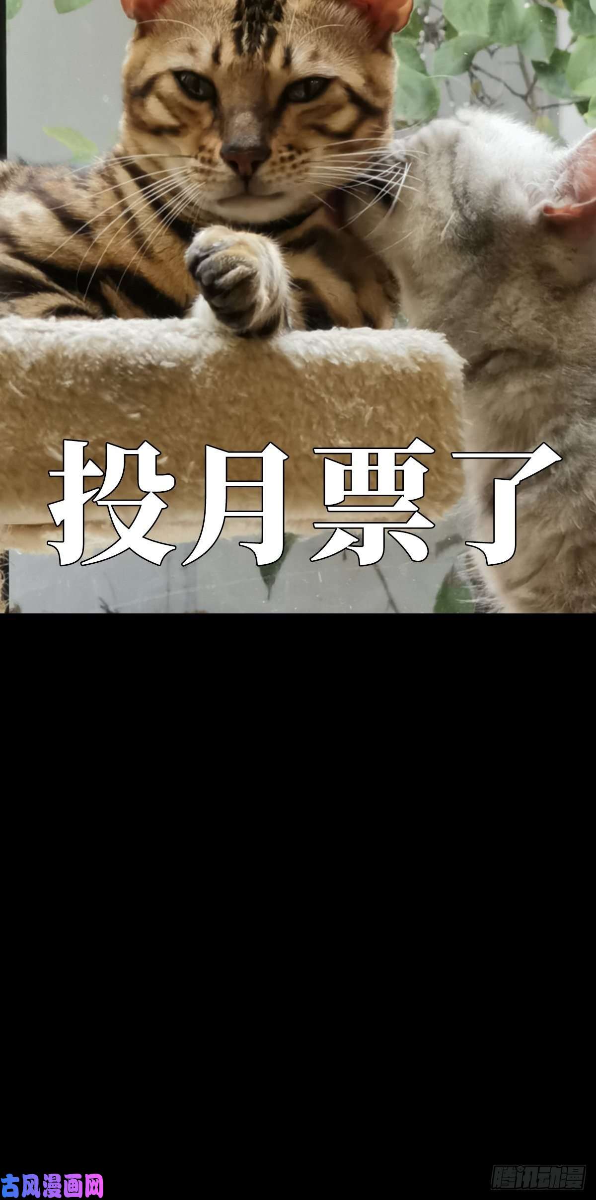 大象无形第一百六十六话牙牙下