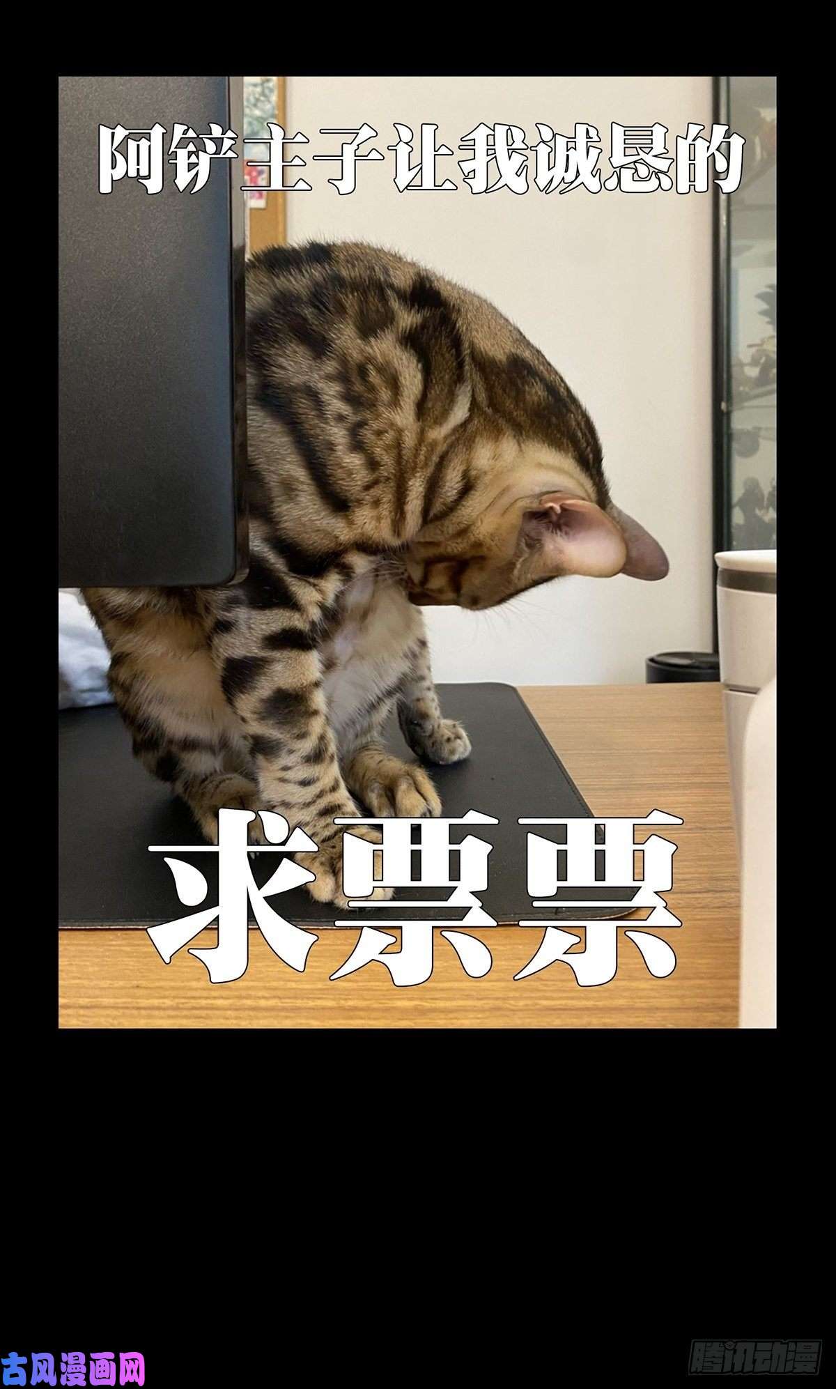 大象无形第一百六十七话希望上