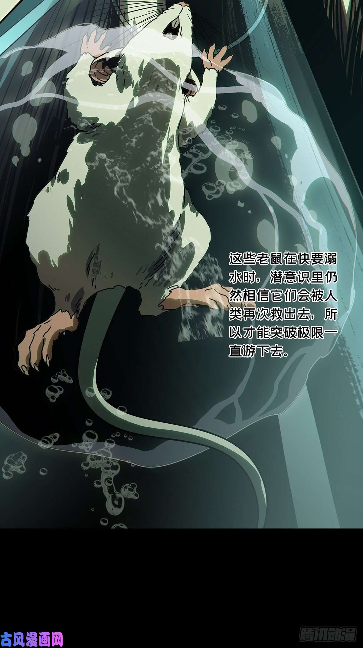 大象无形第一百六十八话希望中