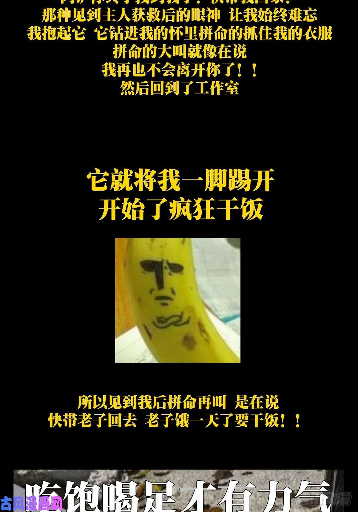 大象无形第一百七十话月茫岛上