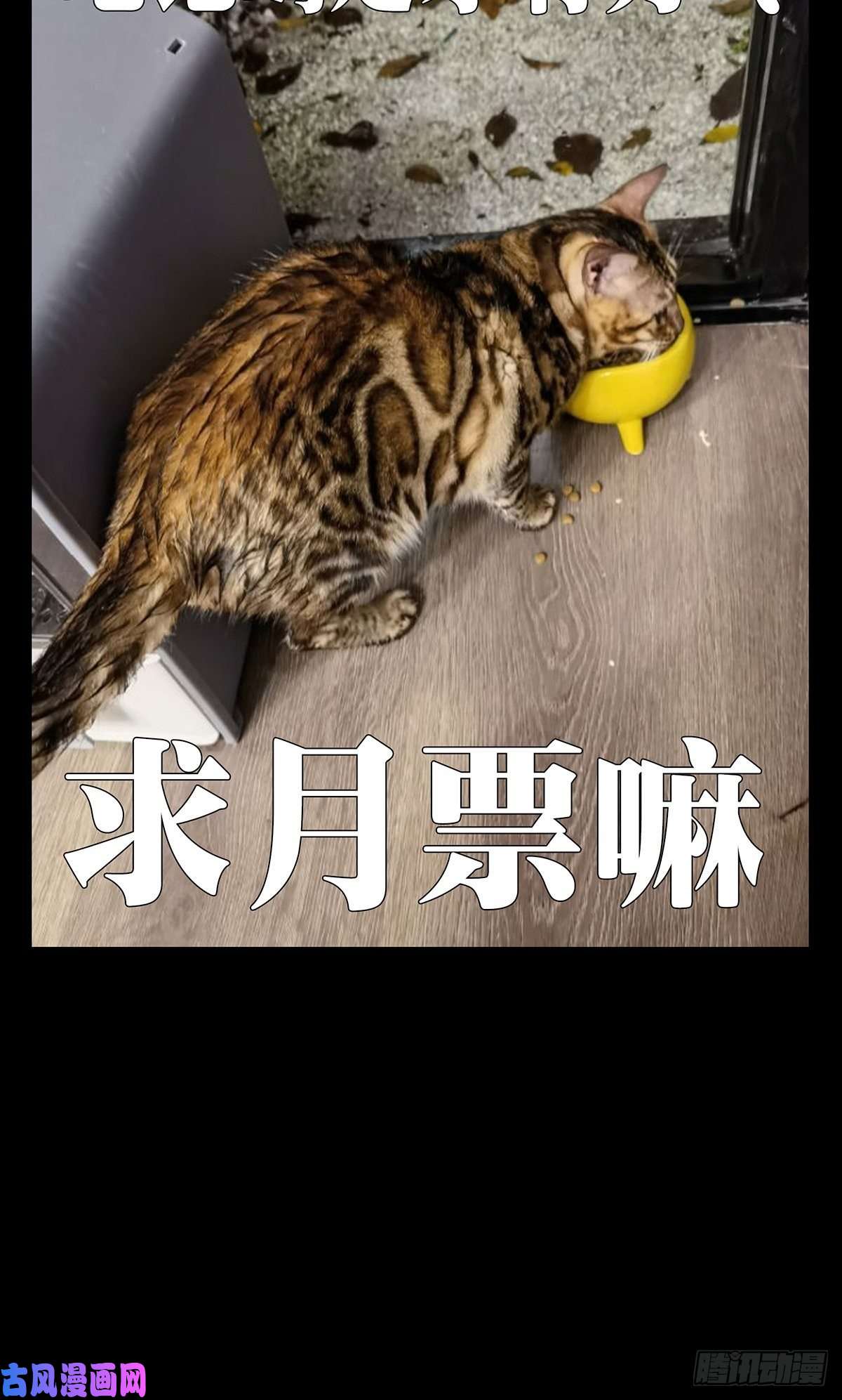 大象无形第一百七十话月茫岛上