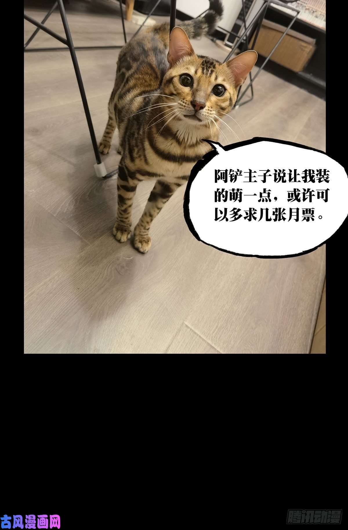 大象无形第一百七十六话竞技开场上