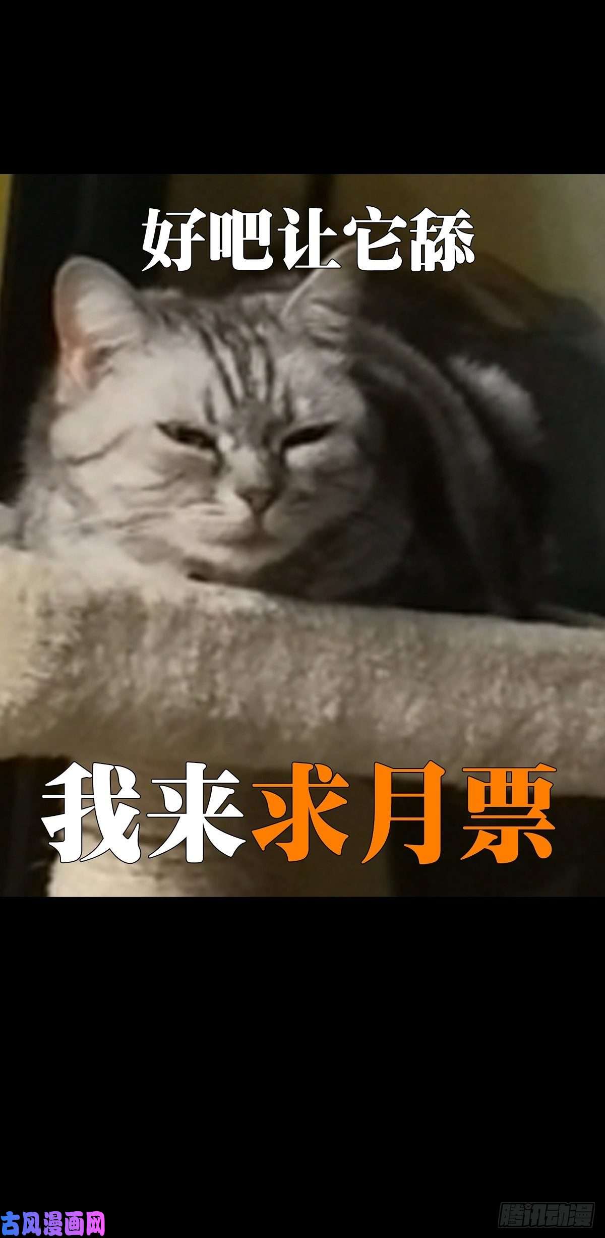大象无形第一百七十九话死斗开始上