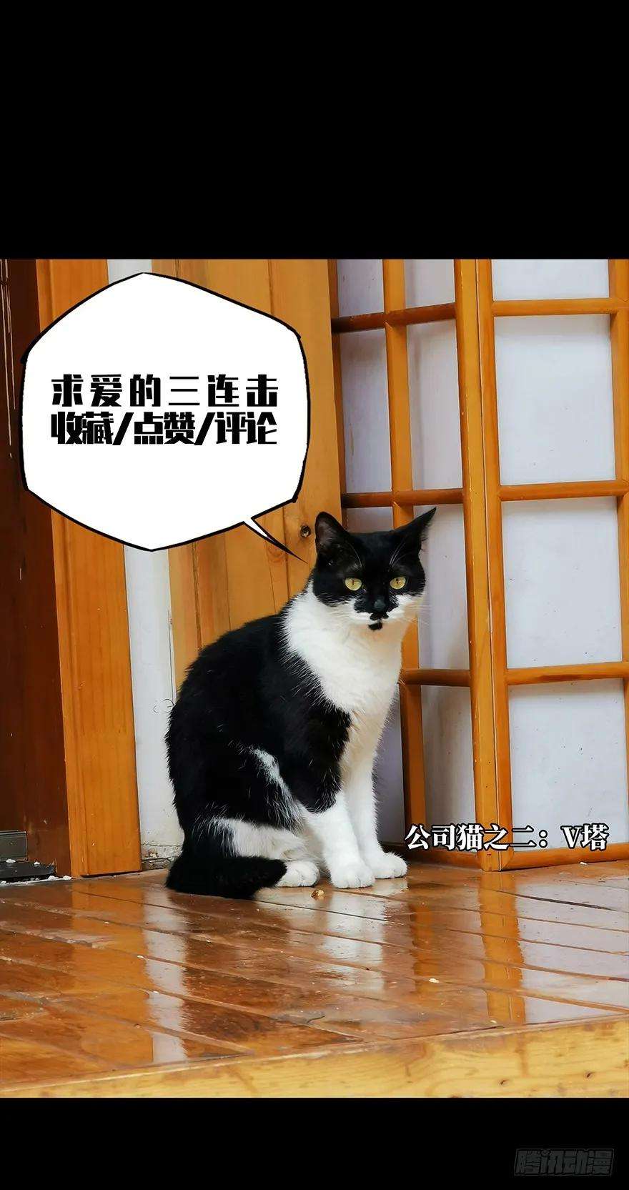 大象无形十五话番天世界中