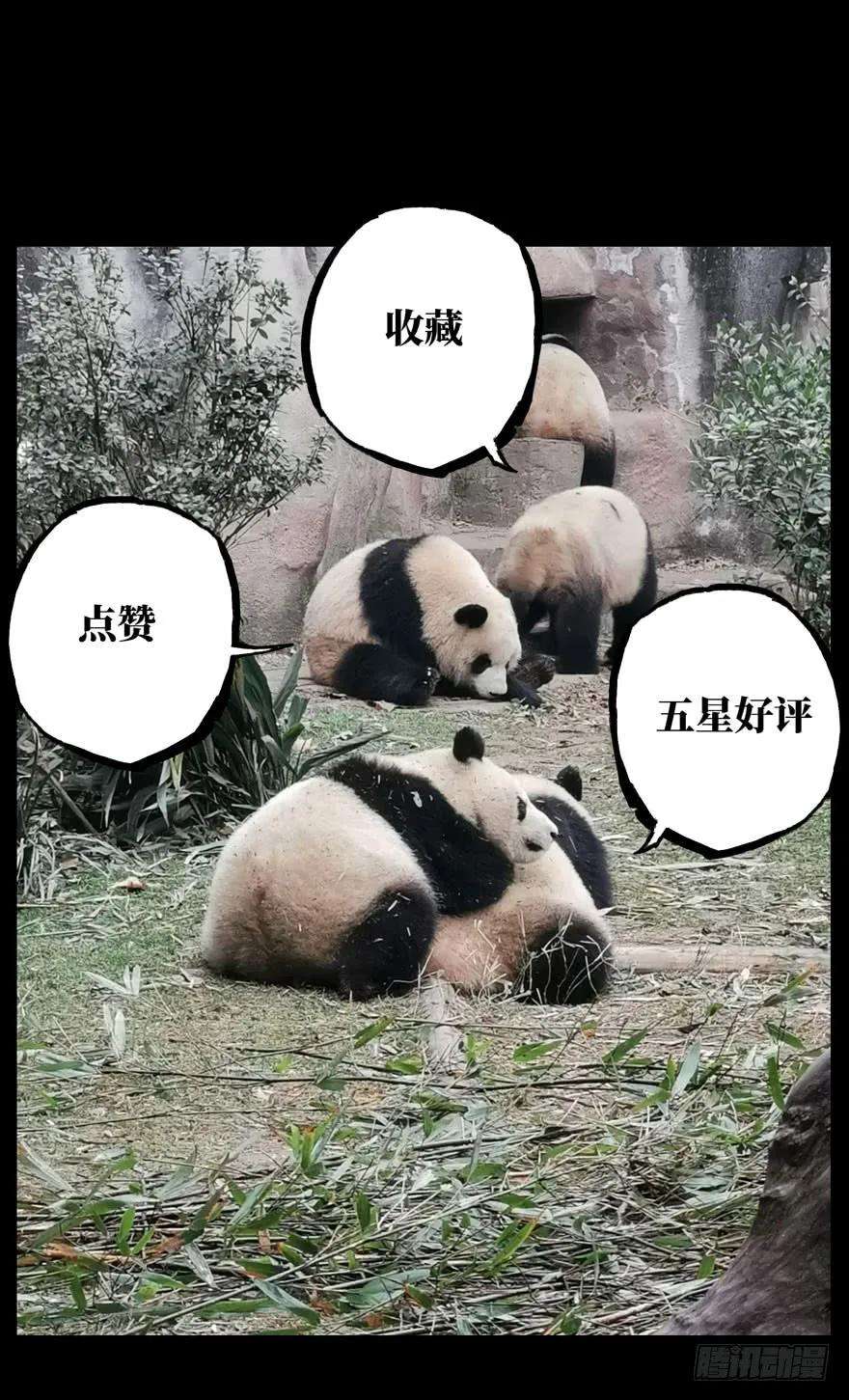 大象无形二十五话命数下