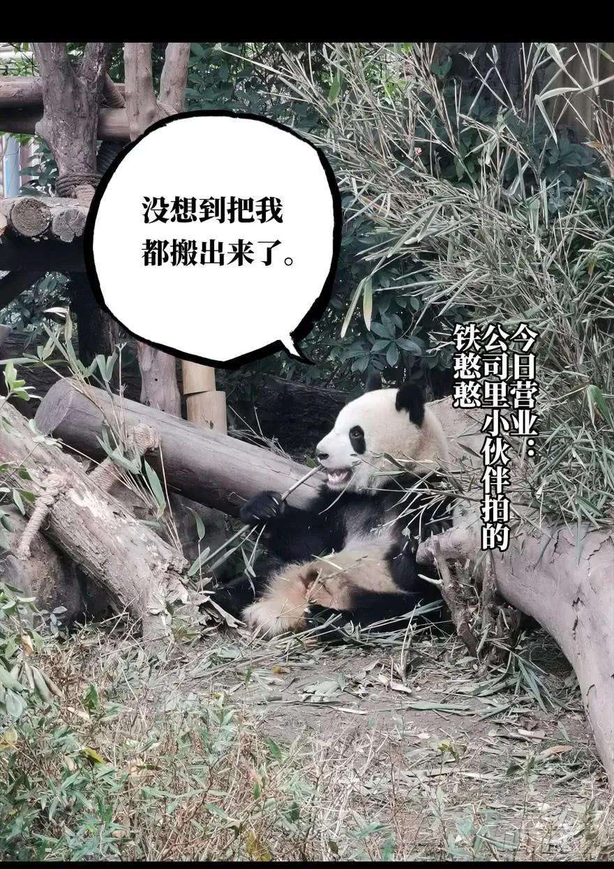 大象无形二十五话命数下