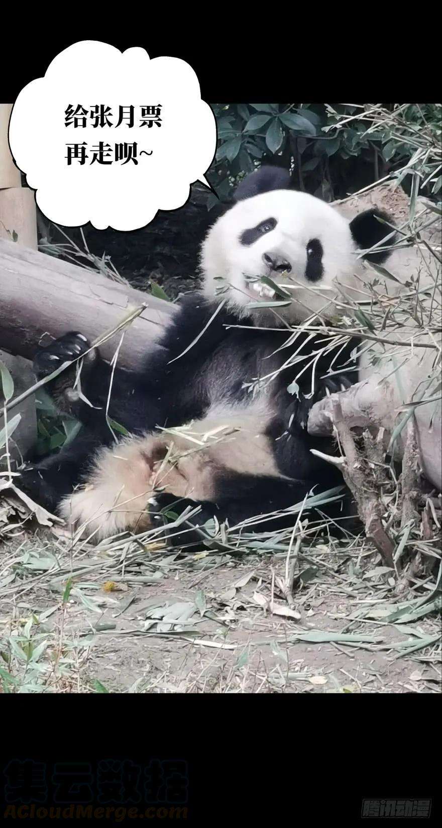 大象无形二十五话命数下