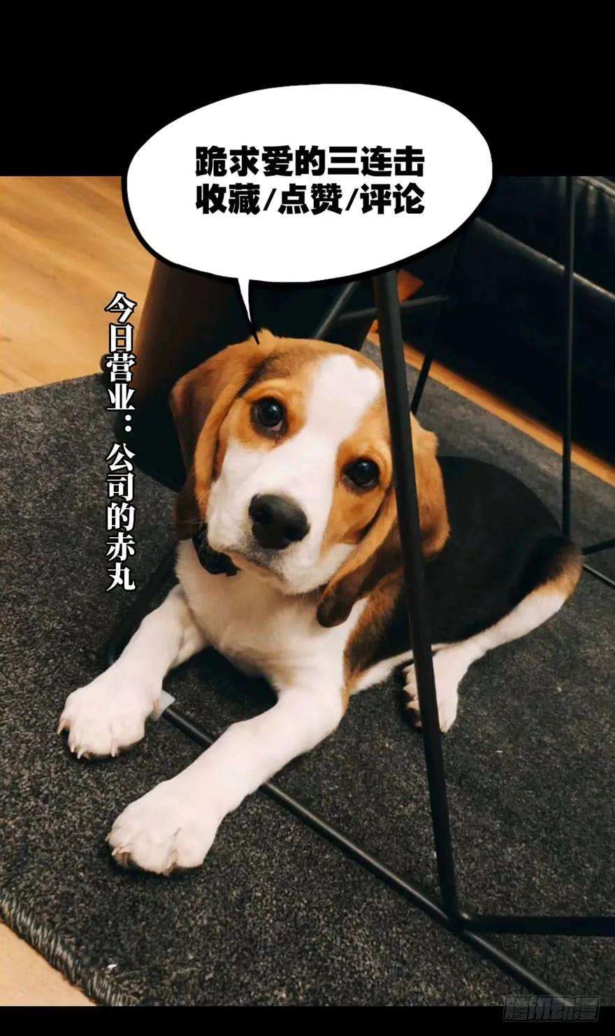 大象无形二十六话封存上