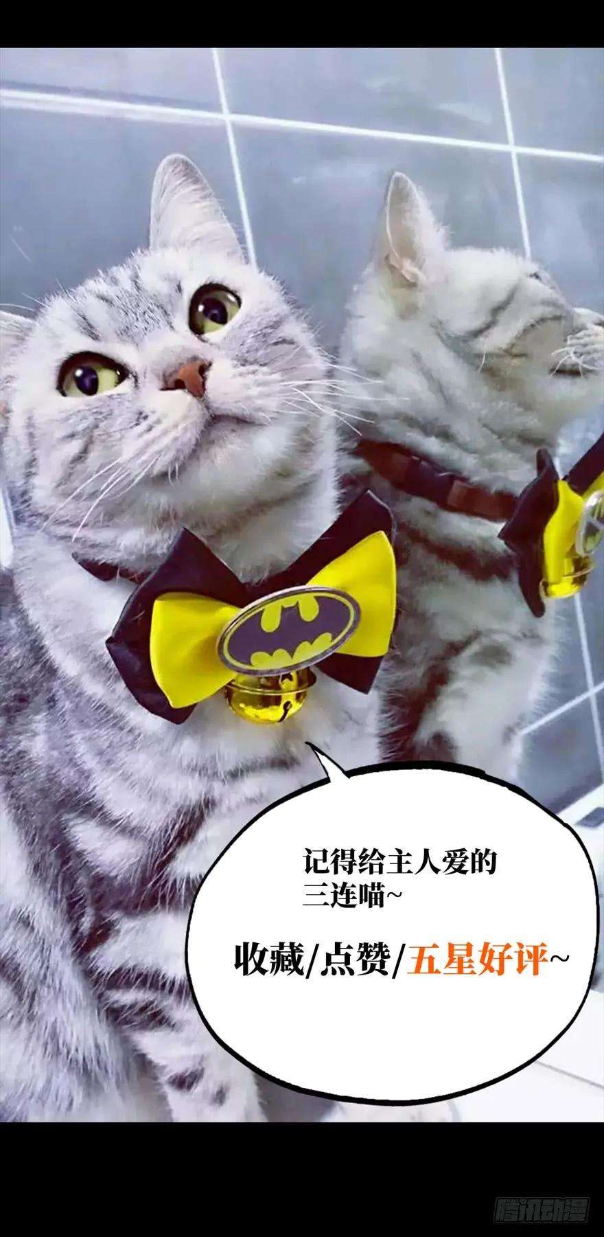 大象无形二十九话加入上
