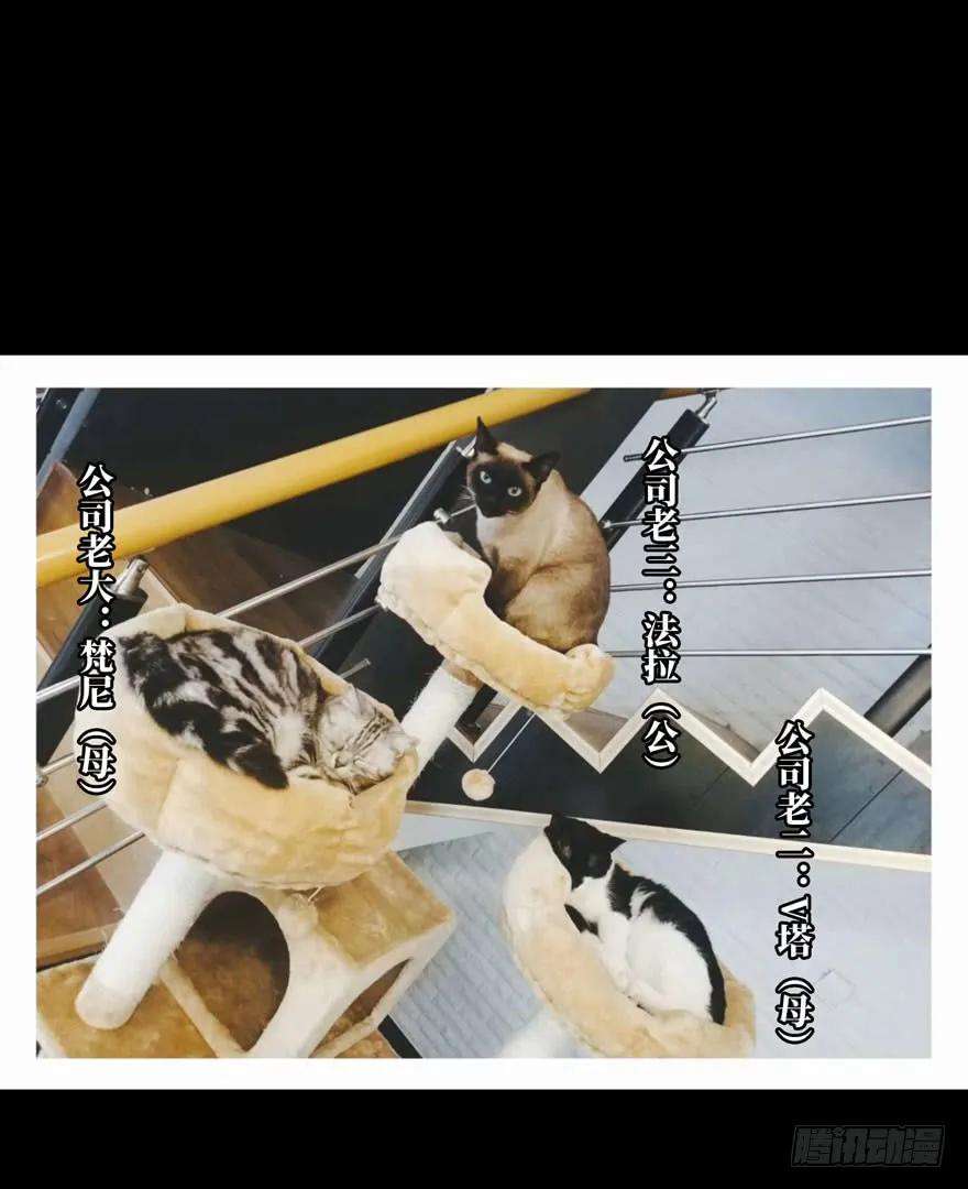 大象无形三十五话考验上