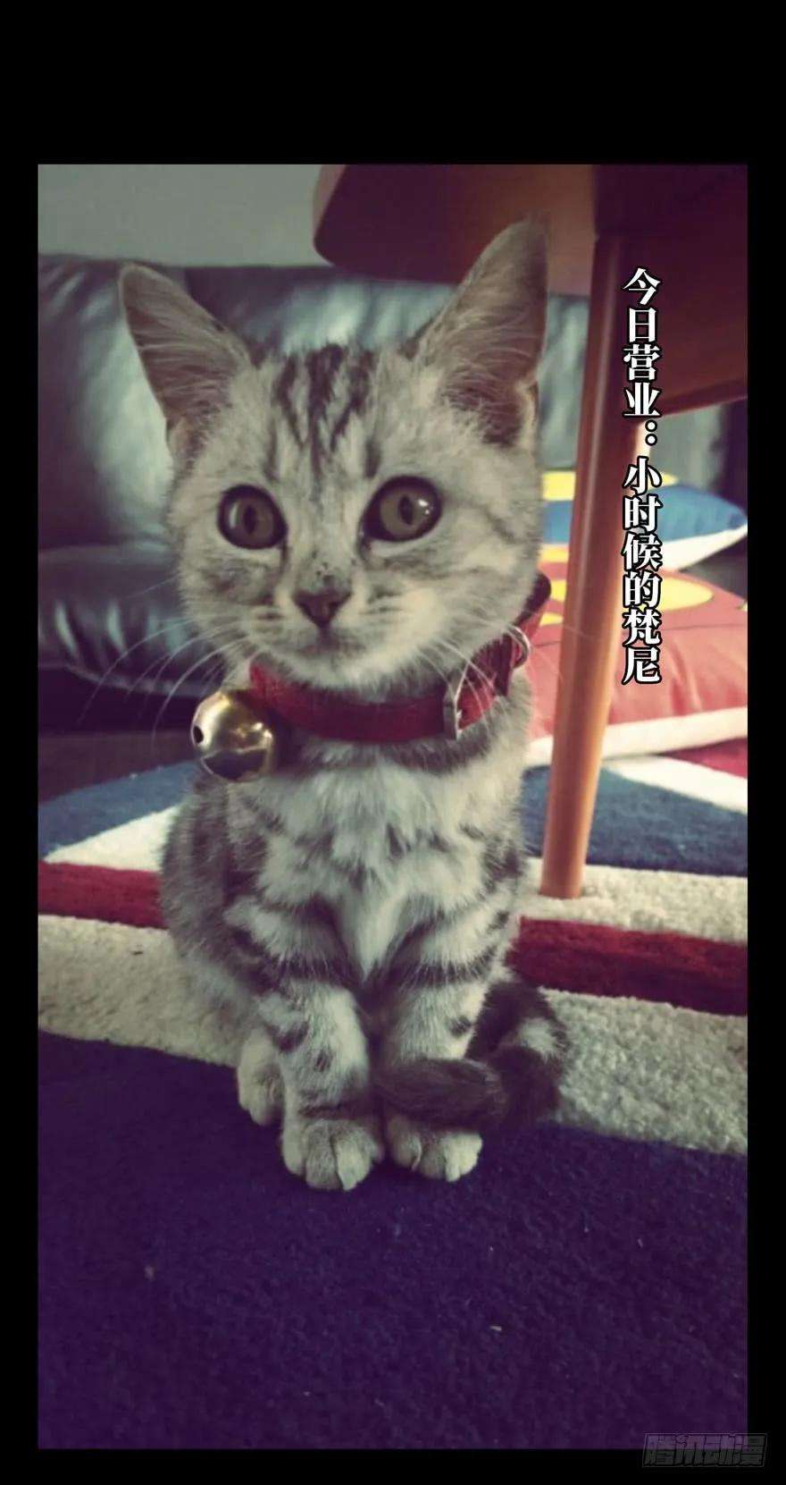 大象无形三十六话考验中