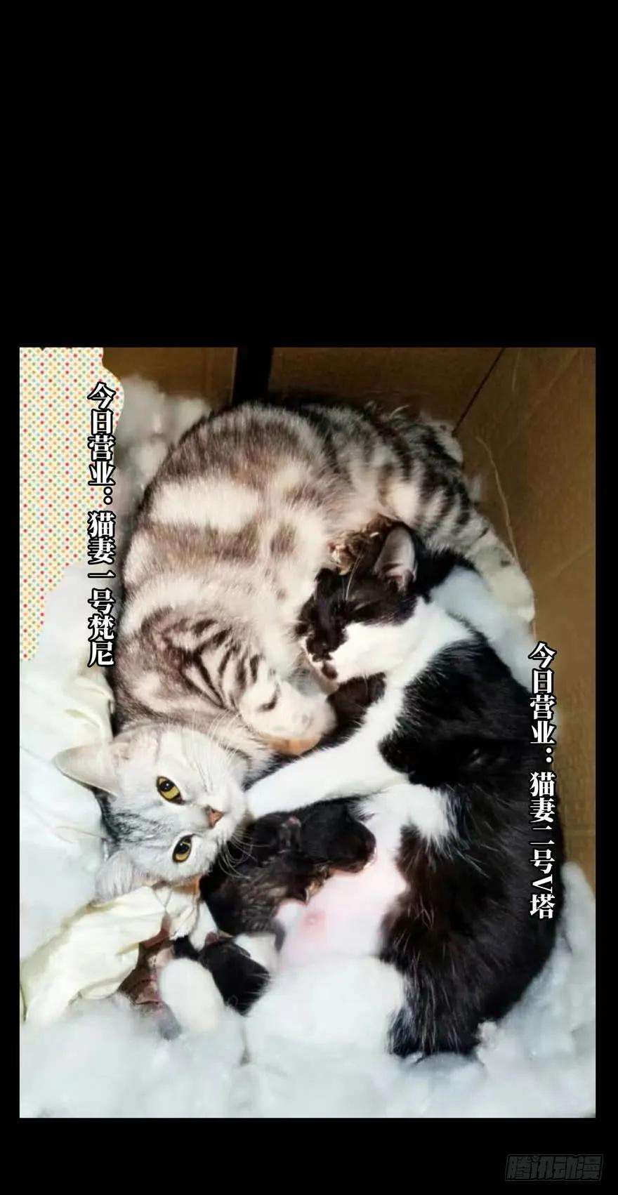 大象无形三十八话洗砚古宅上