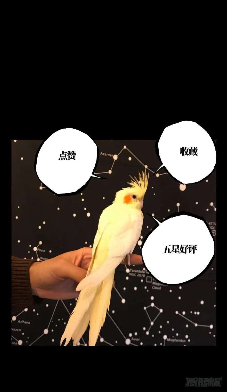 大象无形三十九话洗砚古宅中