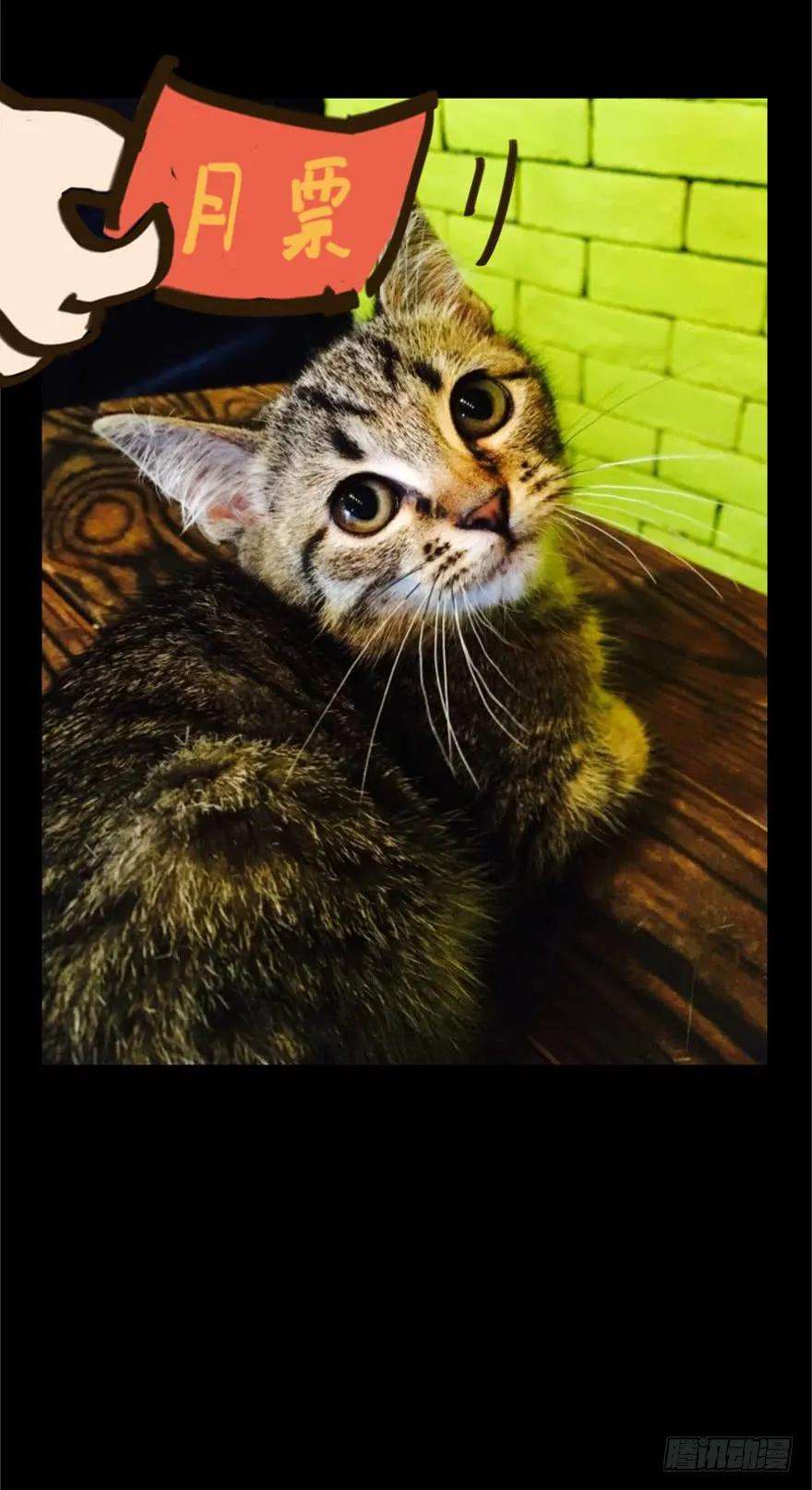 大象无形四十三话看门者下