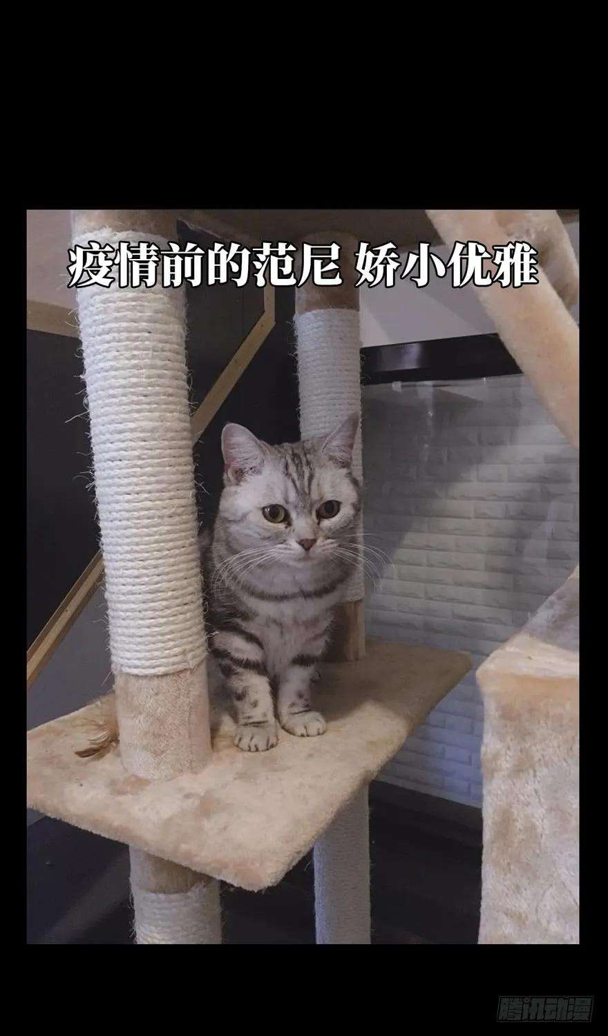 大象无形四十六话悲剧下