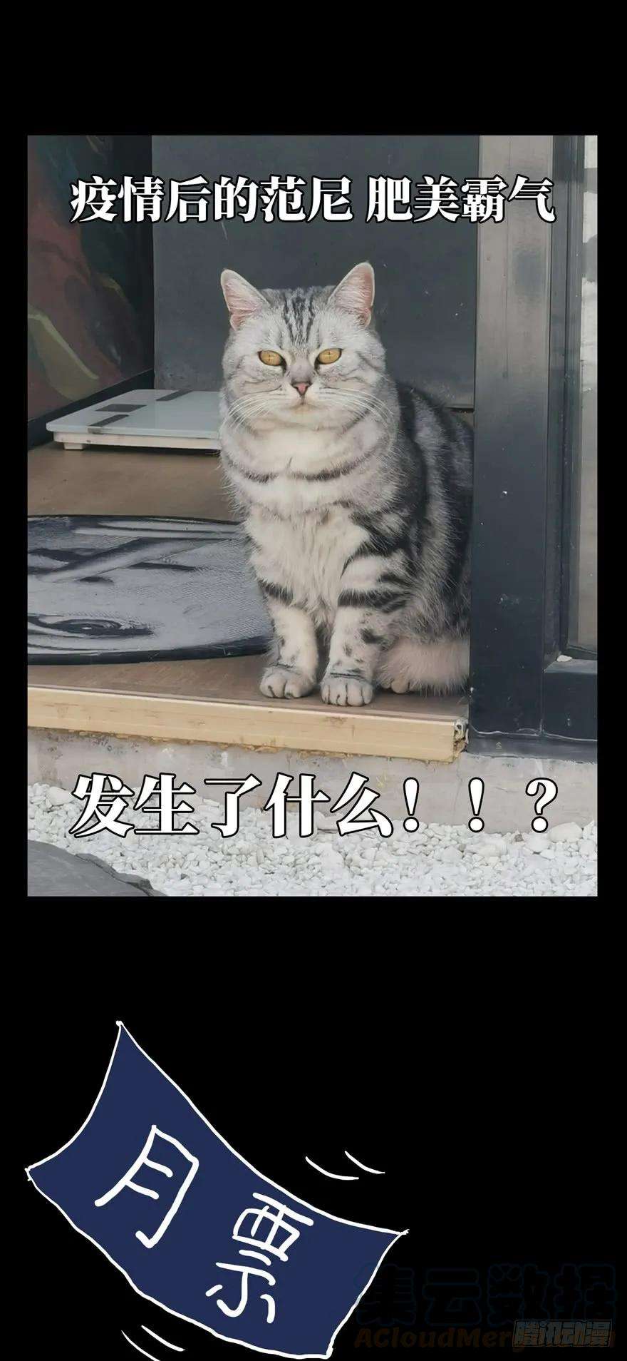 大象无形四十六话悲剧下