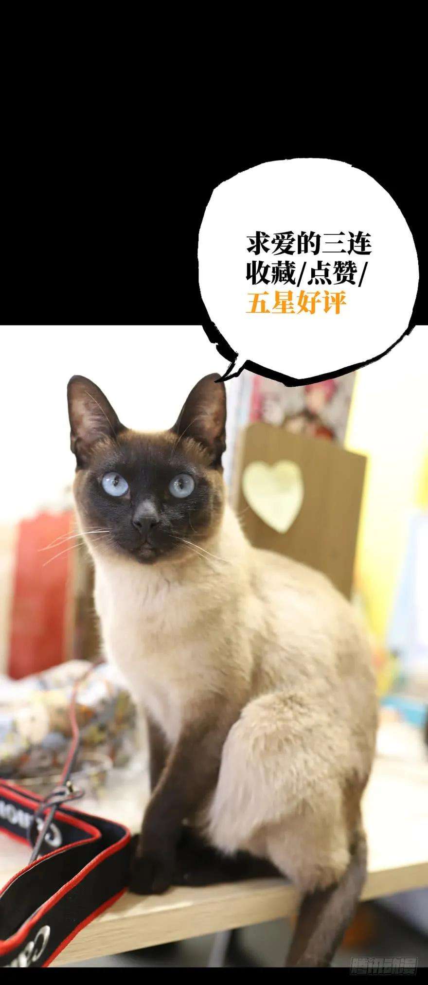 大象无形四十九话恶意下