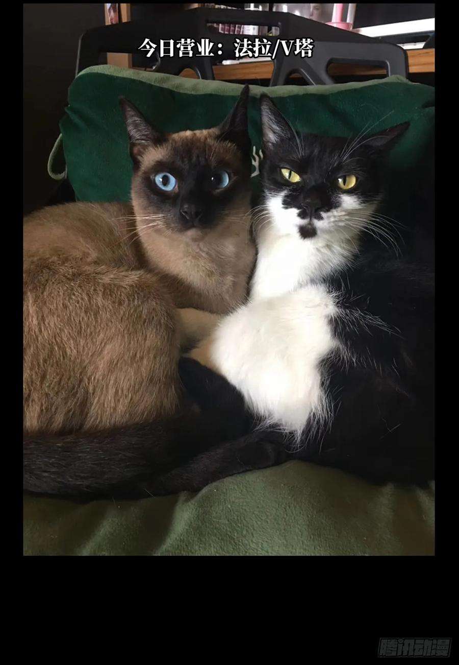 大象无形五十二话秘密下