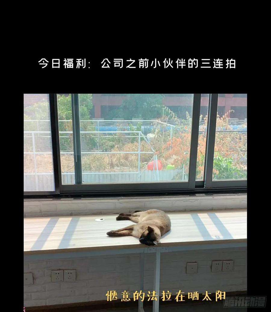 大象无形五十五话方仙术士下