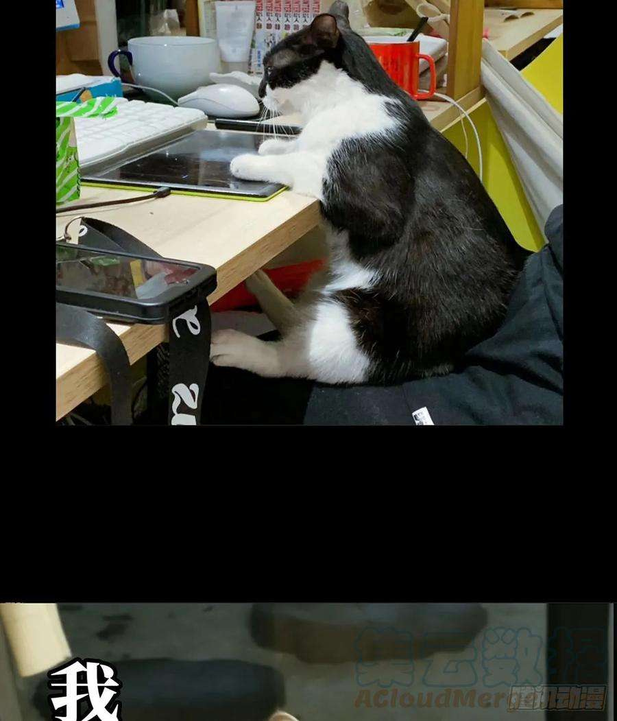 大象无形五十五话方仙术士下