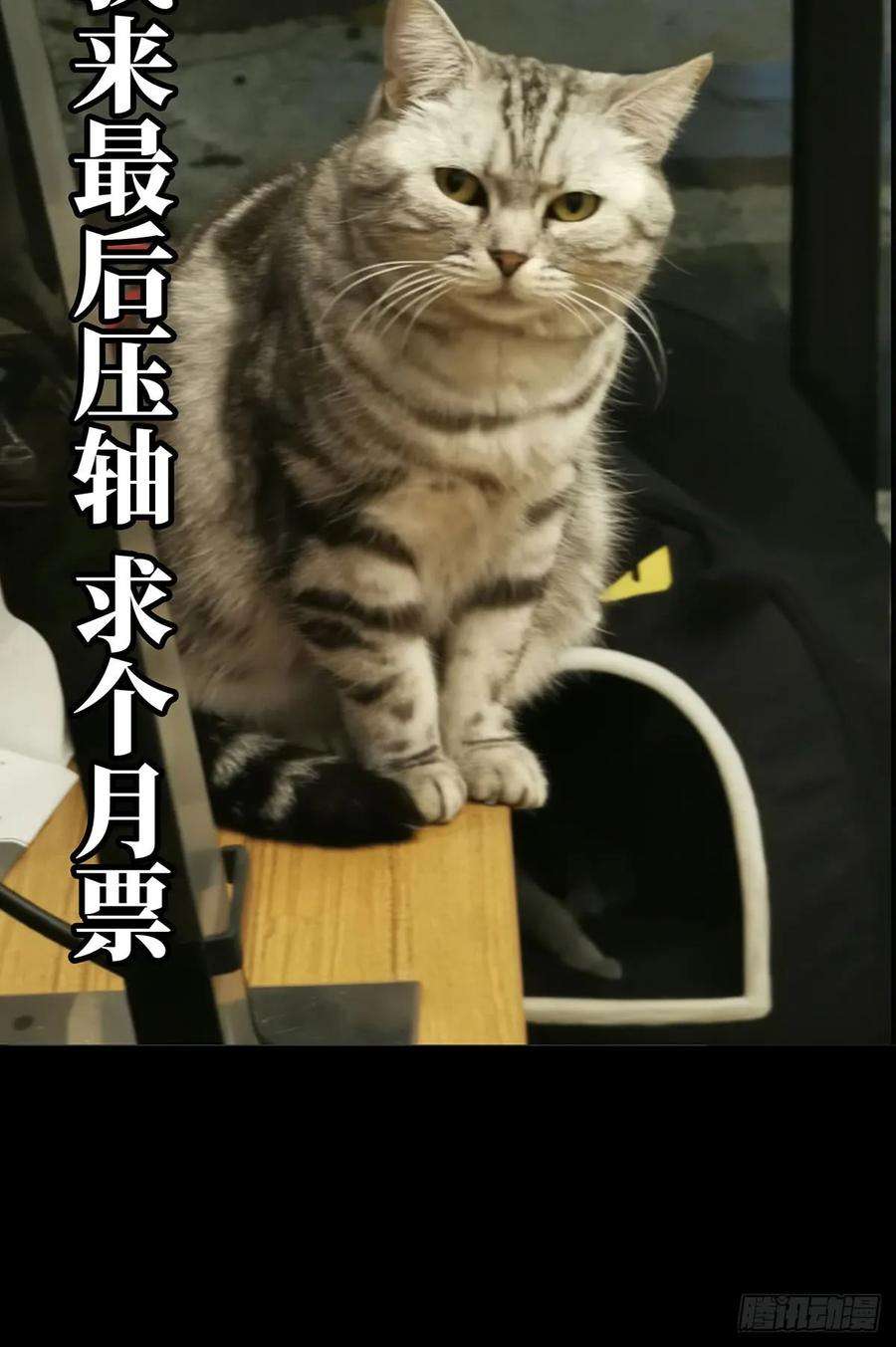 大象无形五十五话方仙术士下