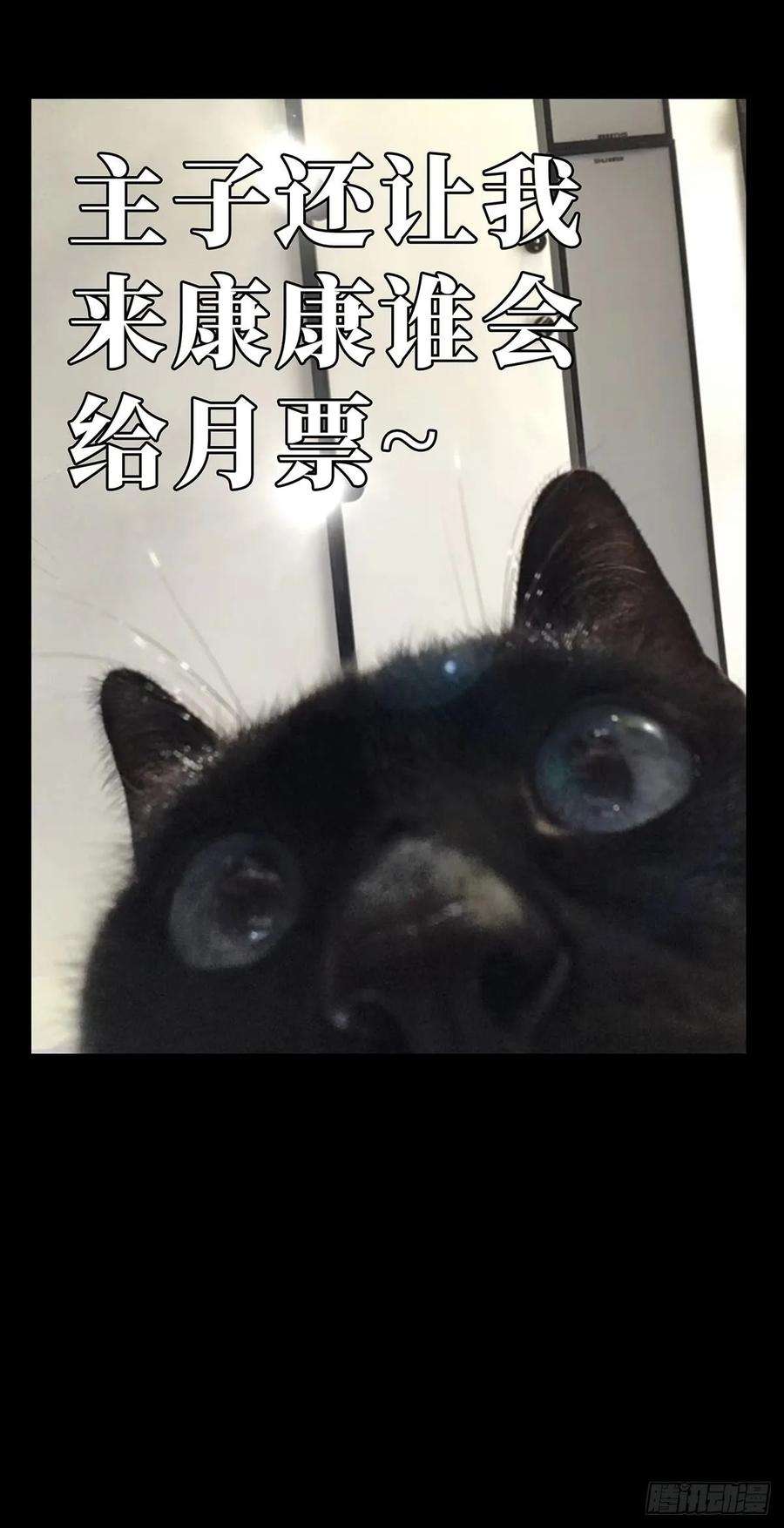 大象无形五十七话家中