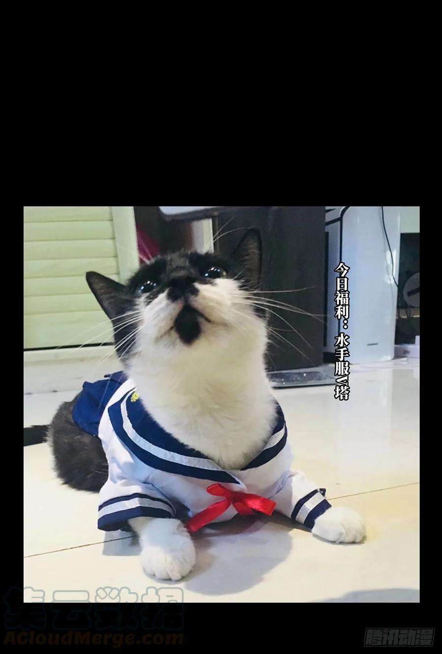 大象无形六十话信任中
