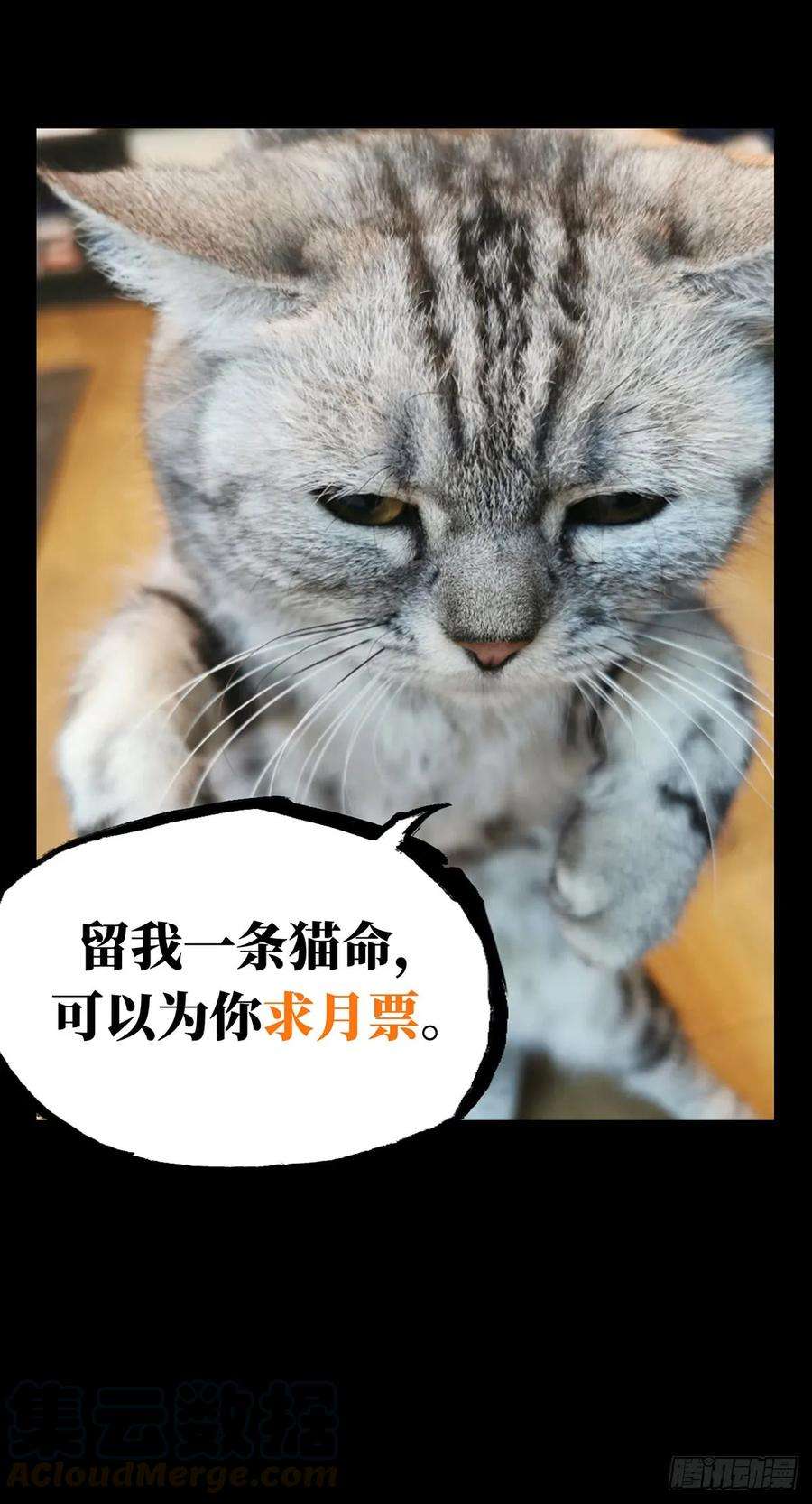 大象无形六十一话信任下