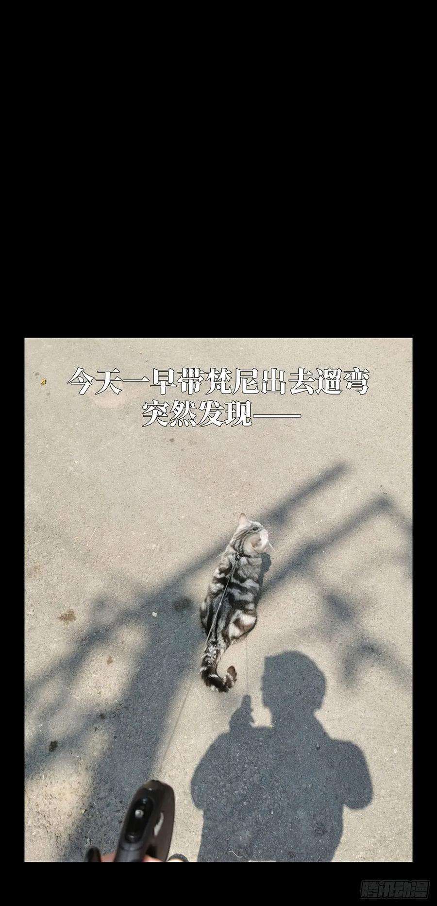 大象无形六十二话刀与盾上