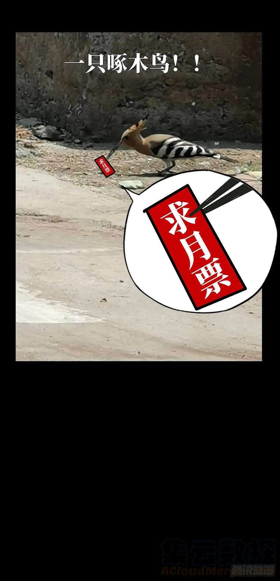 大象无形六十二话刀与盾上