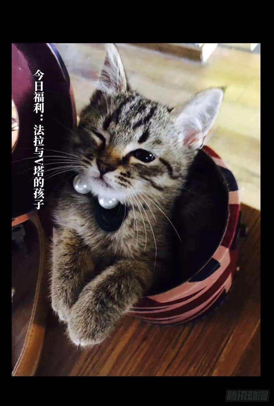 大象无形六十三话刀与盾中