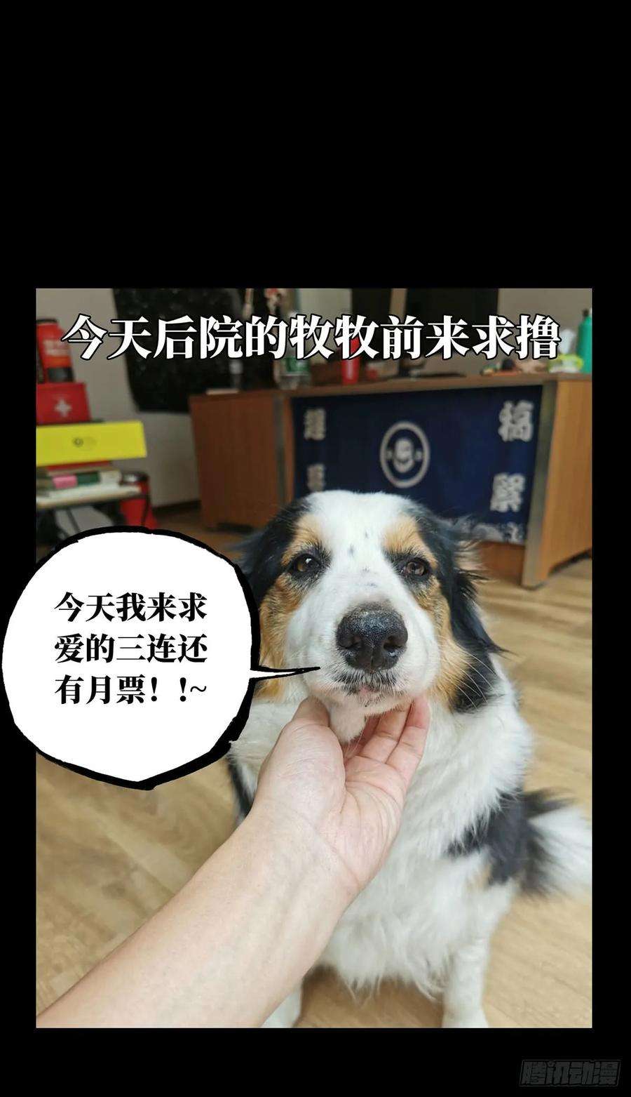 大象无形六十四话刀与盾下