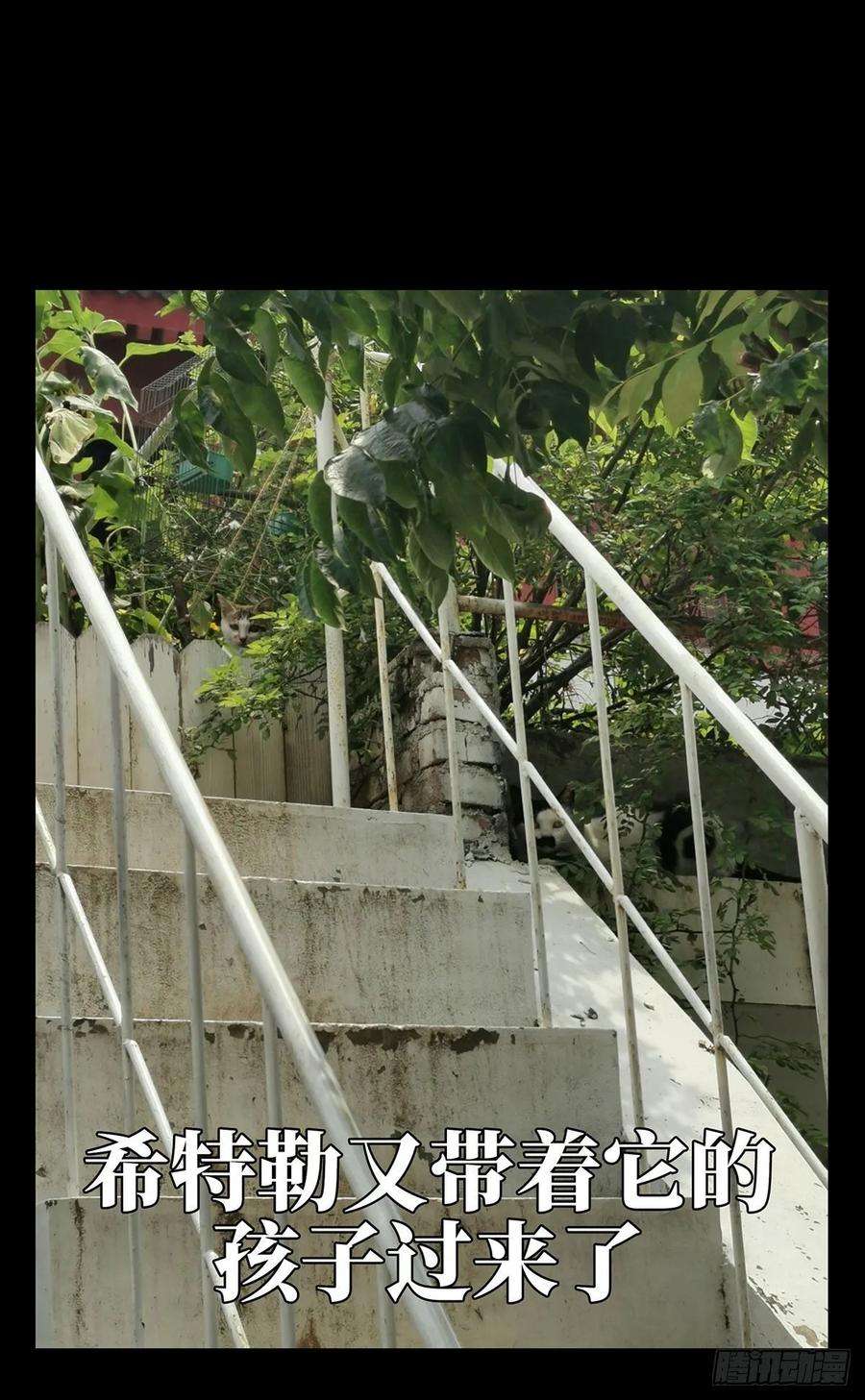 大象无形六十六话病态中