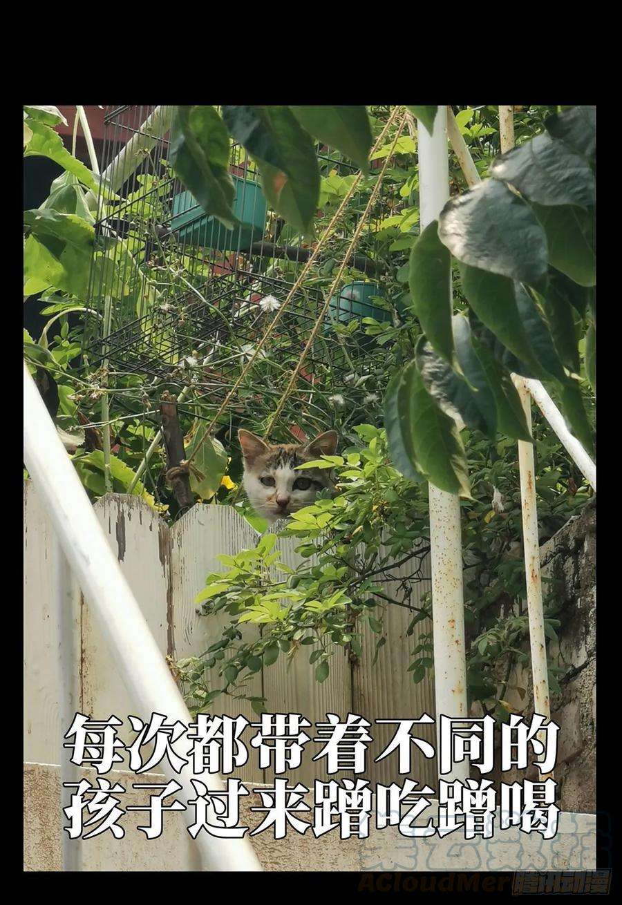 大象无形六十六话病态中
