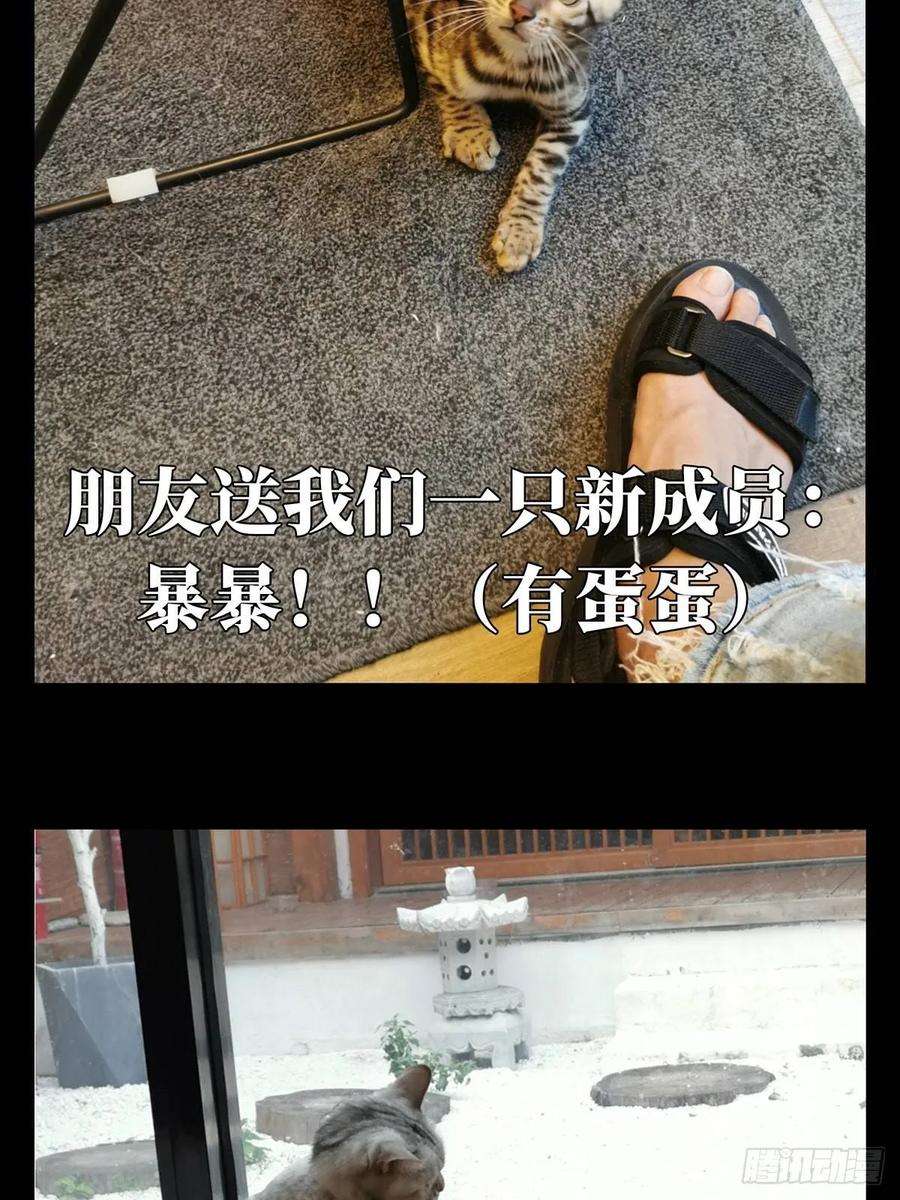 大象无形六十七话病态下