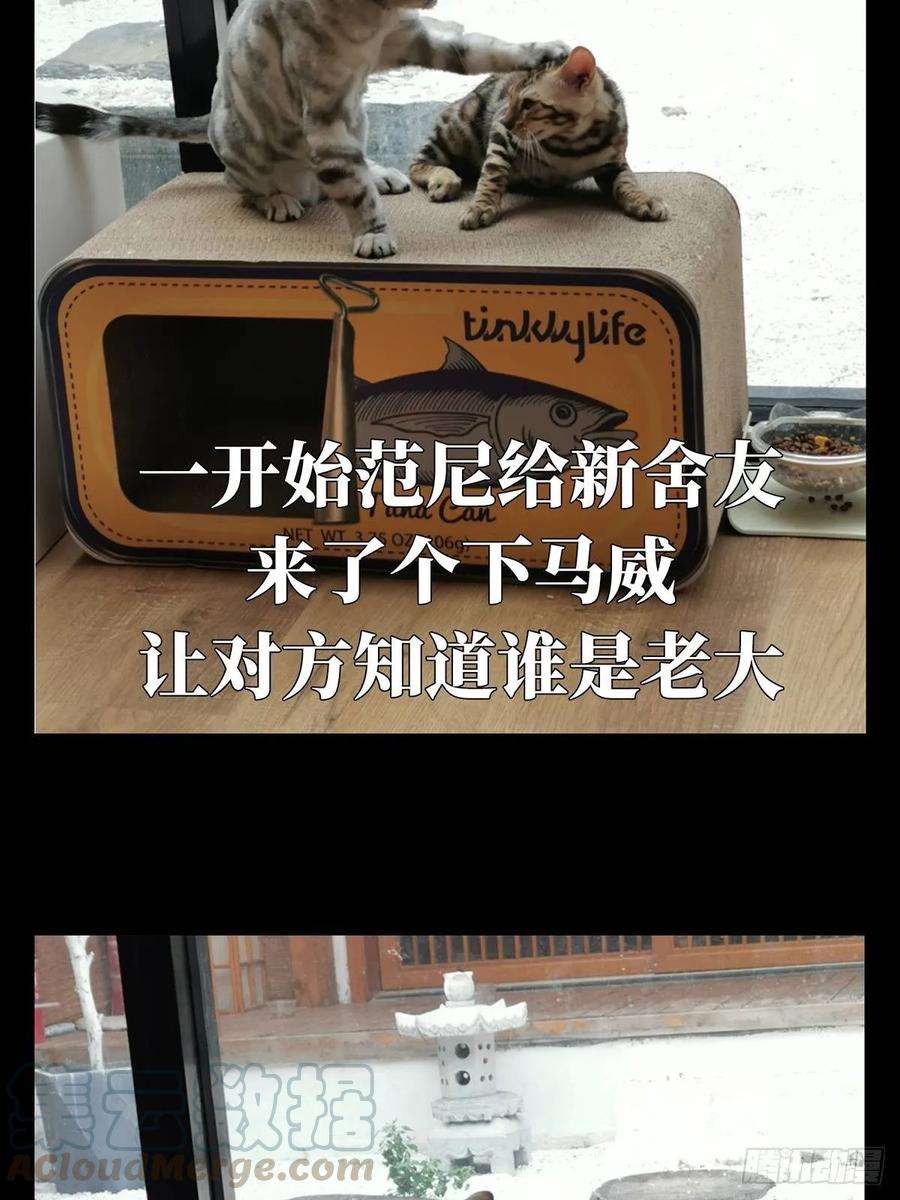 大象无形六十七话病态下