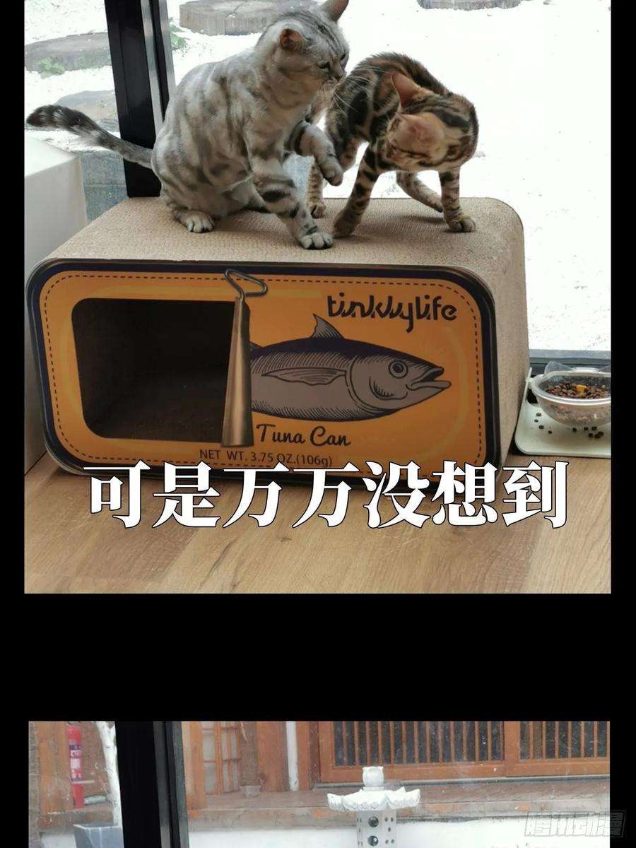 大象无形六十七话病态下