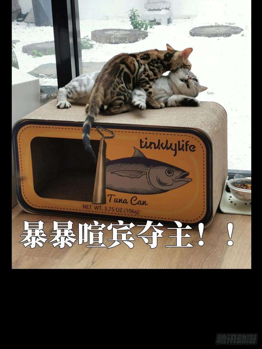 大象无形六十七话病态下